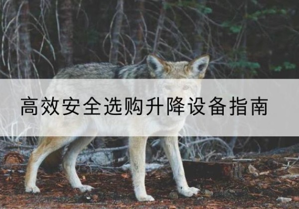 麻阳升降货梯厂家推荐-*安全选购升降设备指南