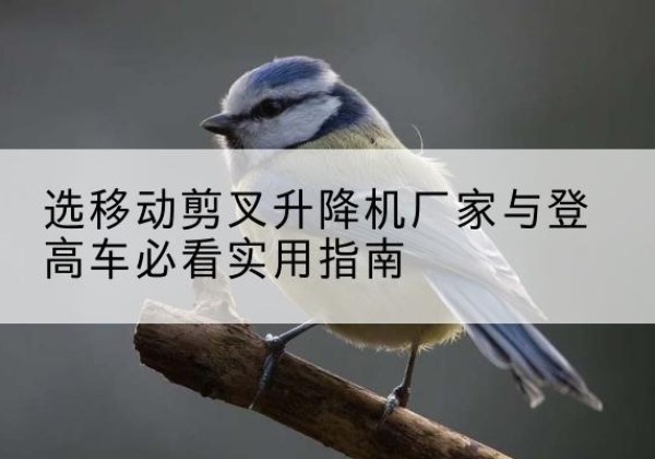 麻阳电动升降机厂家-选移动剪叉升降机厂家与登高车必看实用指南
