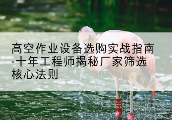 麻阳剪叉式升降机厂家-高空作业设备选购实战指南-十年工程师揭秘厂家筛选核心法则